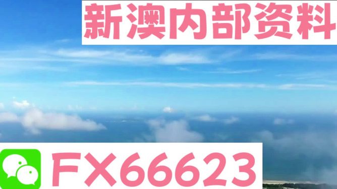 新澳全年免费资料大全，决策资料解释落实_储蓄版4.968