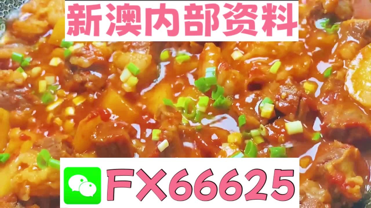 新奥门特免费资料大全管家婆料，最佳精选解释落实_尊贵版5.49