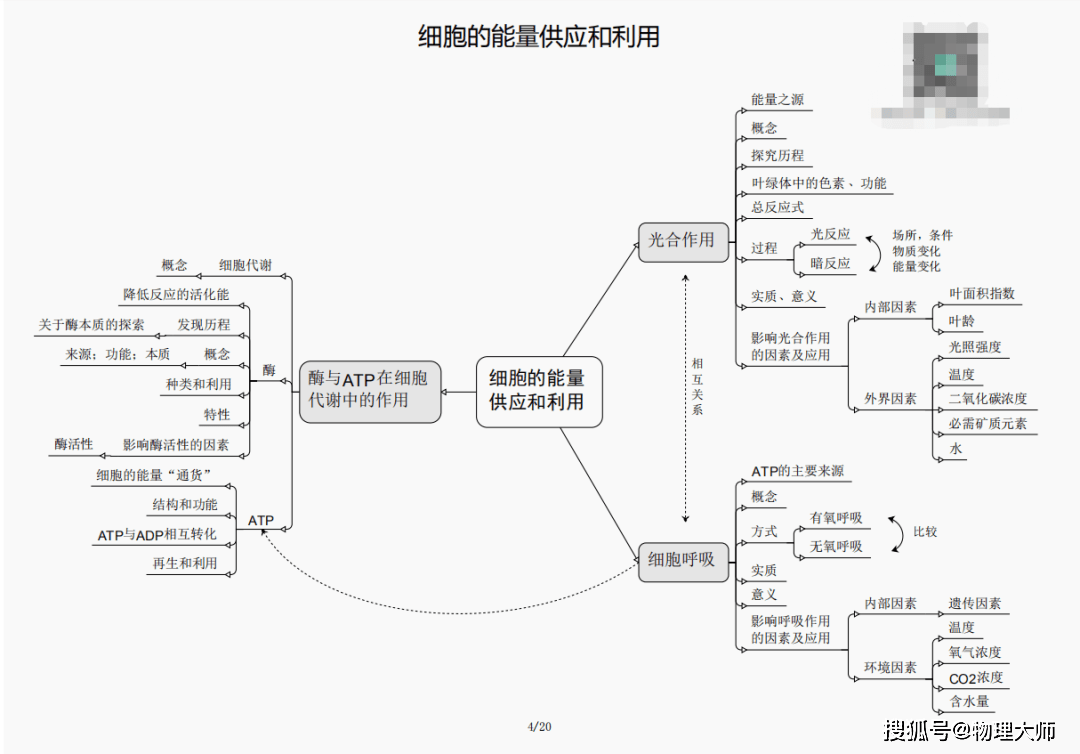 三肖必中三期必出资料，数据资料解释落实_探索版9.738