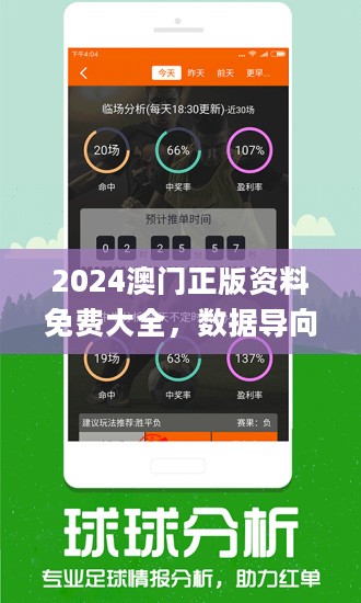 2024澳门正版精准免费大全，效率资料解释落实_精英版9.895