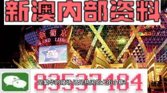 2024新澳最精准资料大全，数据资料解释落实_探索版6.869