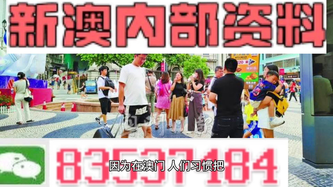 2024新澳资料免费精准051，决策资料解释落实_储蓄版7.406