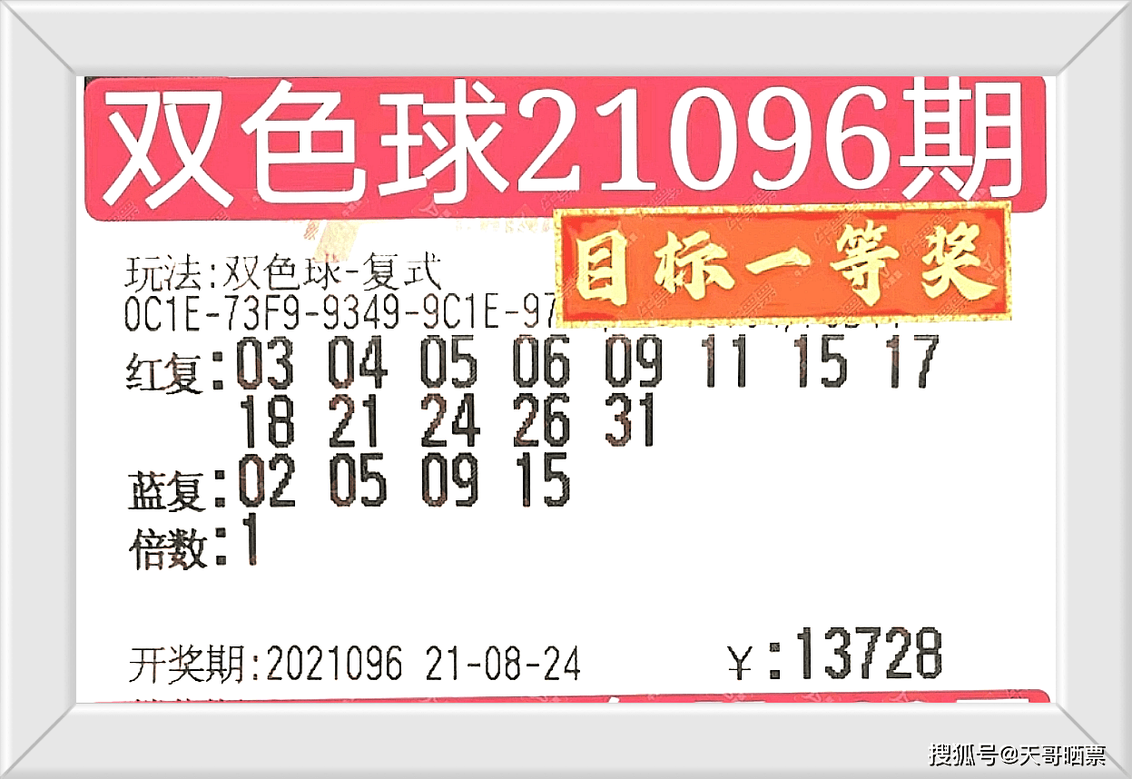 2024今晚澳门特马开什么码，专家解答解释落实_轻量版55.49.68