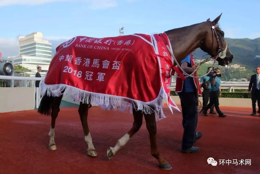 ww777766香港马会总纲诗，效率资料解释落实_精英版9.899