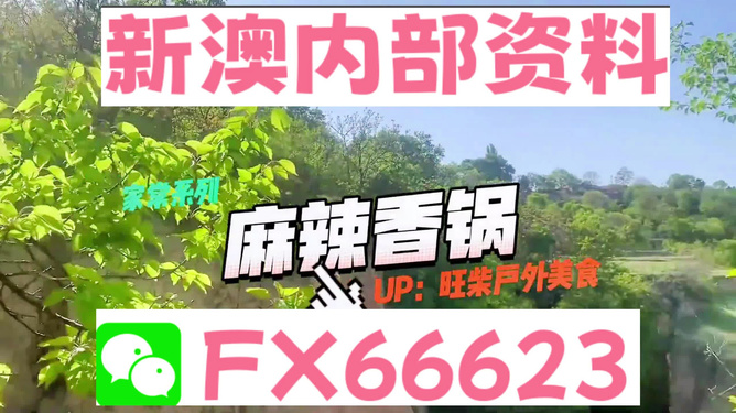 新澳资料免费,系统解答解释定义_试用版77.823