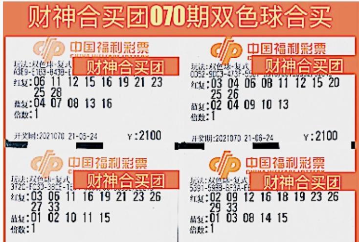 管家婆一票一码100正确今天,全局性策略实施协调_R版48.384