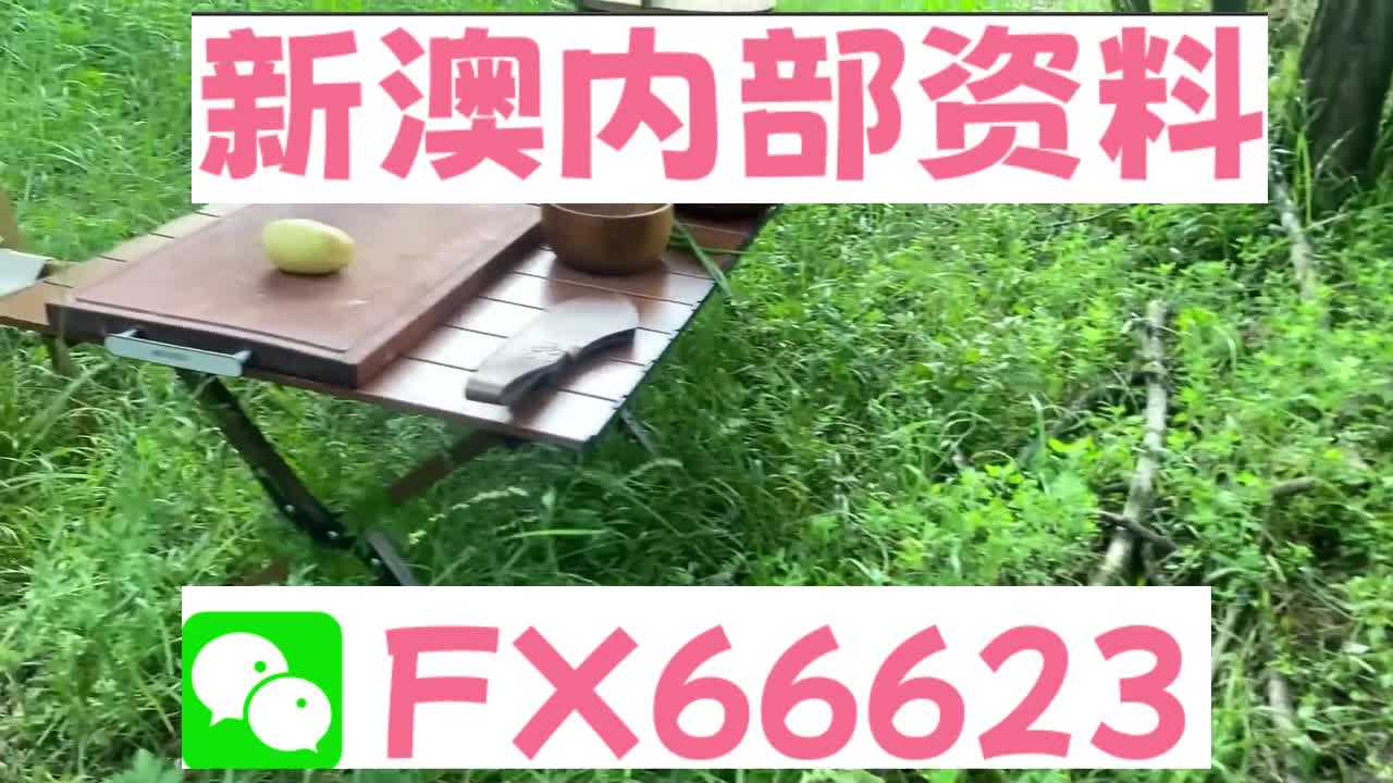 新澳资料免费精准期期准,高速解析方案响应_运动版82.713