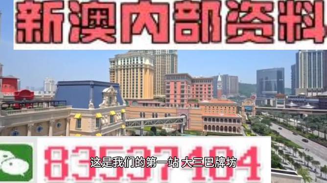 新澳门资料免费长期公开与2024年的相关探讨——警惕违法犯罪风险