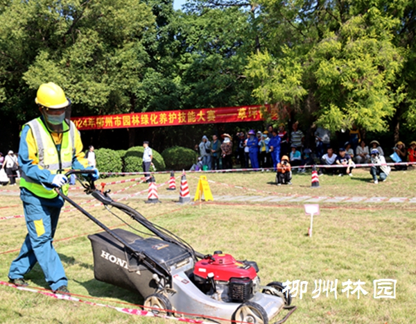 柳州市举办园林绿化养护技能大赛，培育绿色工匠助力生态宜居城市建设