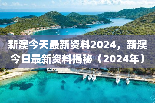 新澳2024正版资料免费公开,核心实践路径全书_社群版92.28.84