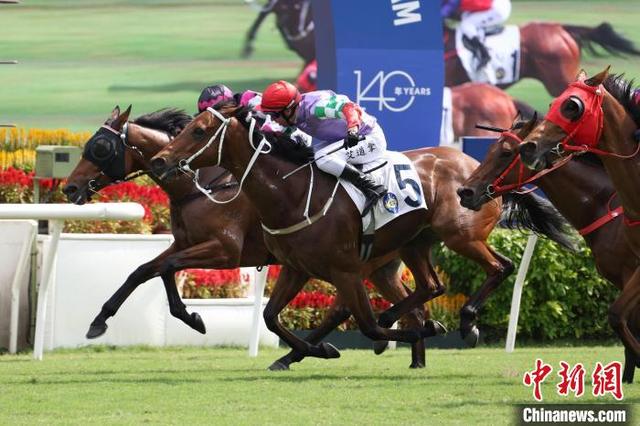 香港特马彩票预测与探讨，以今晚开奖为例