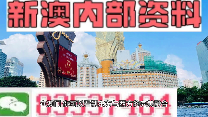 新澳2024年精准资料总览