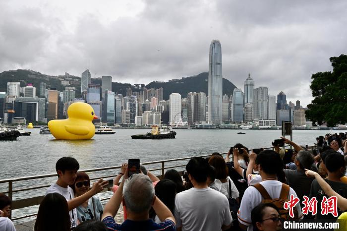 彩票背后的故事与探索，香港二四六开奖免费结果118揭秘