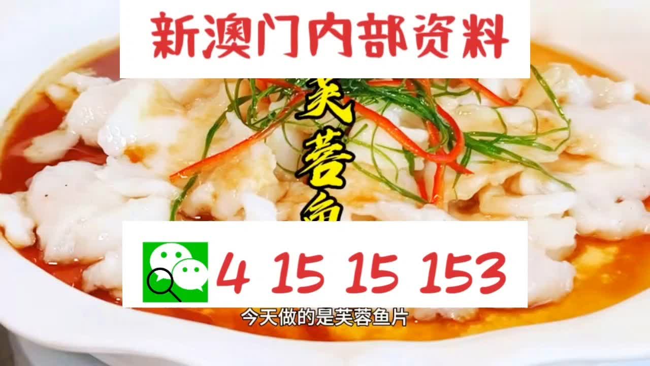 新澳门2024年资料大全，宫家婆的解读与探索