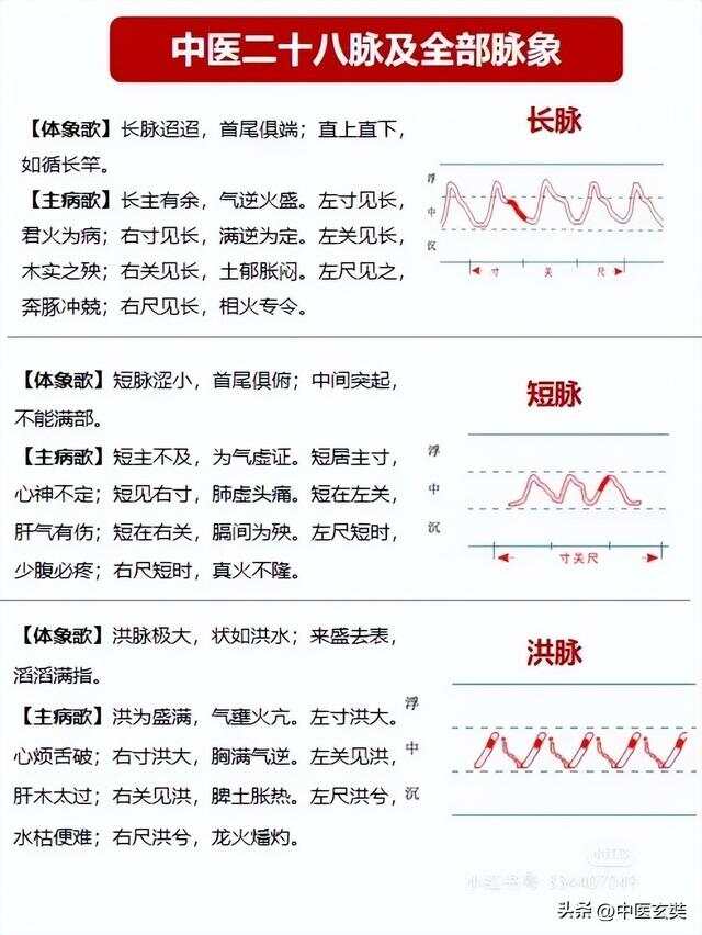 公司简介 第203页