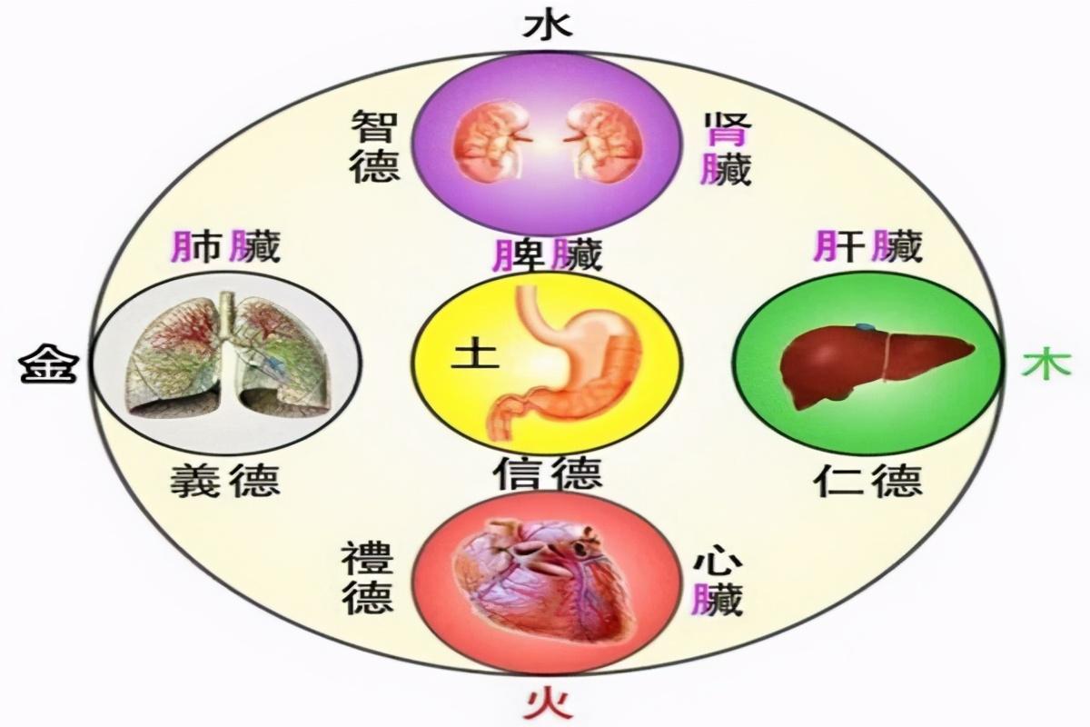 资讯动态 第196页