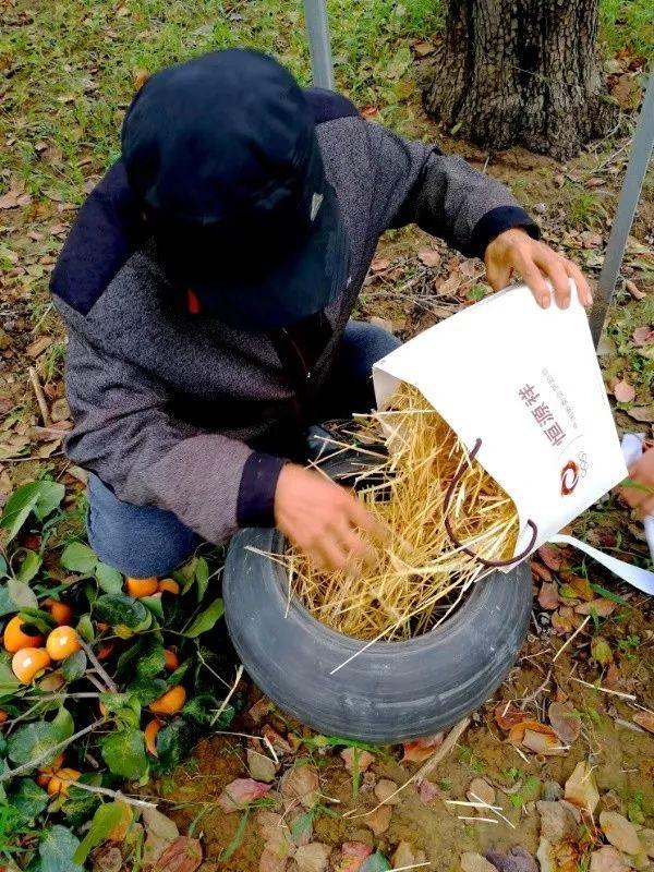 科技助力传统工艺在数字时代焕新传承