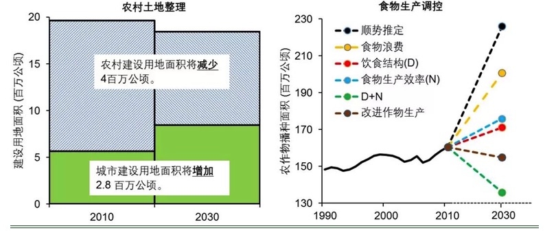 节约粮食与减少环境负担政策双重效益分析研究报告