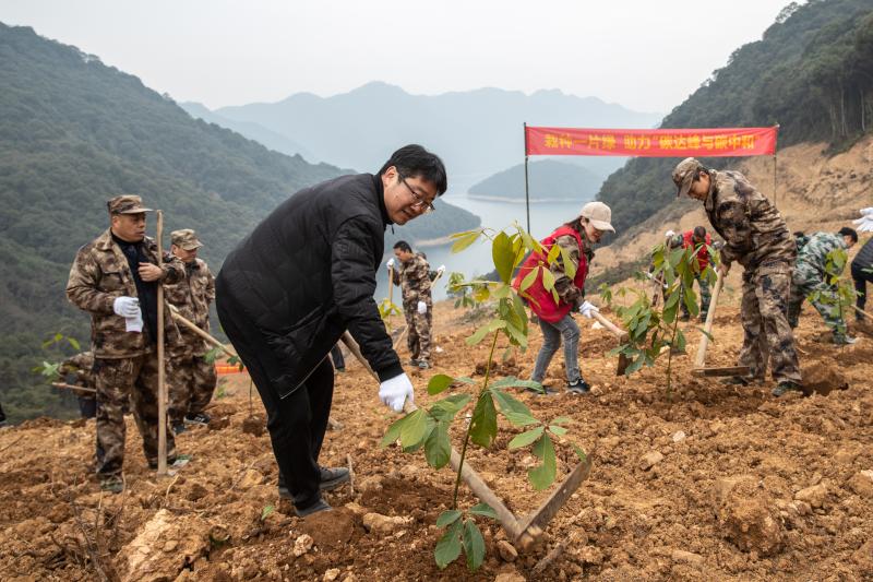 植树造林，提升森林碳吸收能力的关键路径