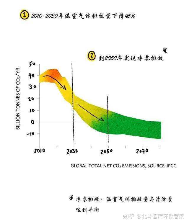 棷木林对碳吸收与温室气体减排的作用分析