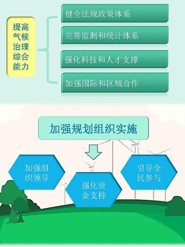 增强森林碳吸收能力，应对气候变化的关键策略