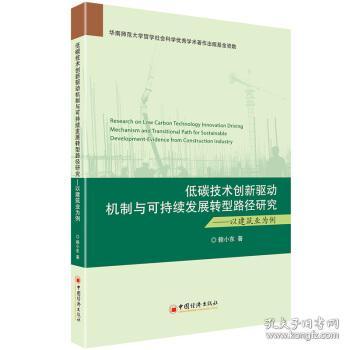 低碳技术与创新协同推进，在可持续发展中的角色与策略探讨