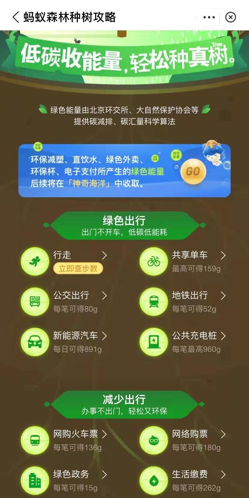 全球碳吸收能力与国家森林保护战略的关键作用分析