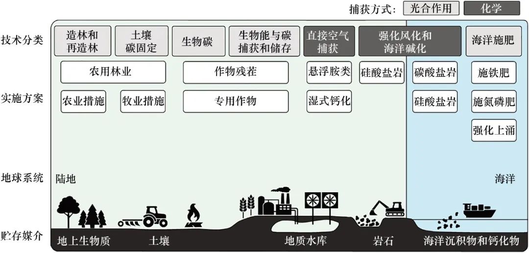 森林再生与碳吸收能力增强的技术实践路径