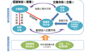 碳汇森林保护与全球碳市场交易机制的紧密关联