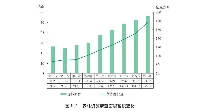 发展中国家森林保护对全球碳吸收能力的影响研究