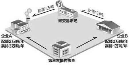 森林保护中的碳排放权交易与碳吸收能力联动研究