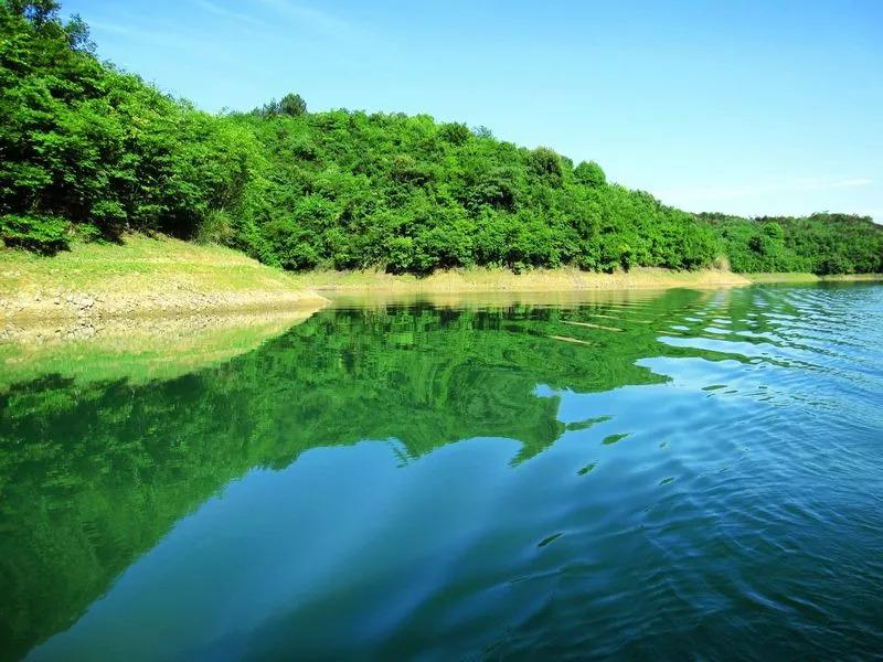 生物碳储存与森林保护，长期碳吸收效益探析