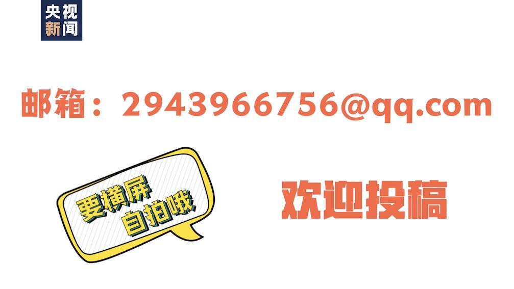 气候变化背景下的森林保护碳吸收与适应策略探讨