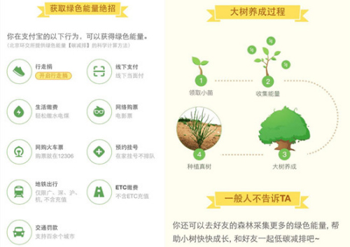 绿色经济下森林保护与碳吸收能力互动探究