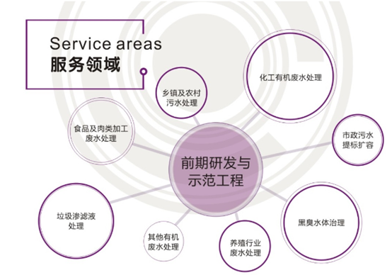 企业如何通过创新技术减少食品浪费与污染，策略与实践探索