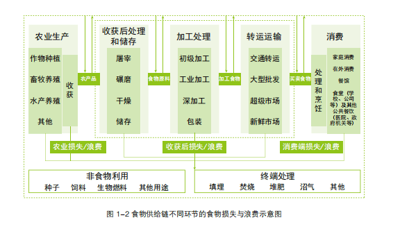 食品浪费对全球环境的长期影响及减缓策略