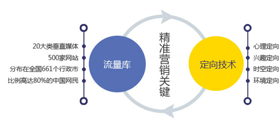 社交平台数据分析驱动个性化广告精准营销策略