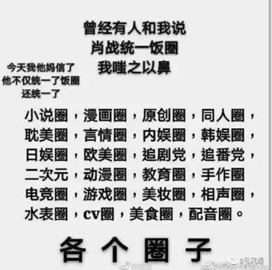 网络文化中的粉丝经济与文化消费现象深度解析