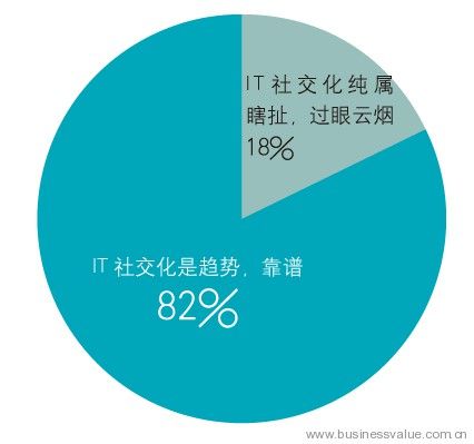 网络文化，个人化与社会化的对比探析