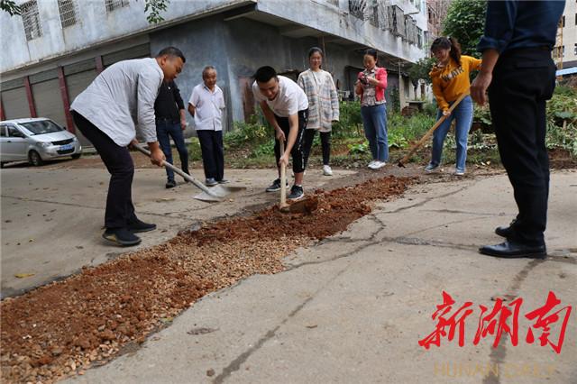 电商平台网络治理与信息安全挑战解析