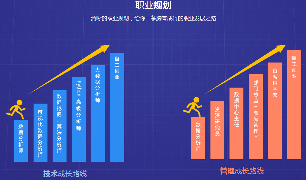 大数据工程师职业成长路径与行业未来展望