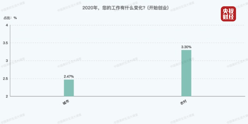 初创企业职业发展机会与晋升空间的探讨