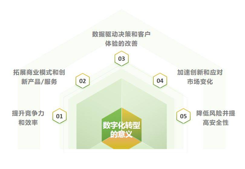 数字化转型背景下的互联网职业发展与机遇