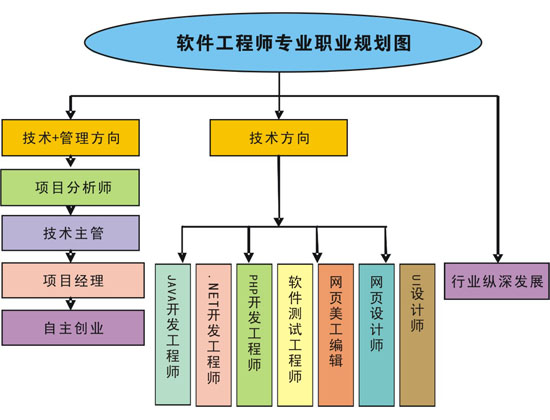 软件工程师在互联网行业的多元职业路径探索