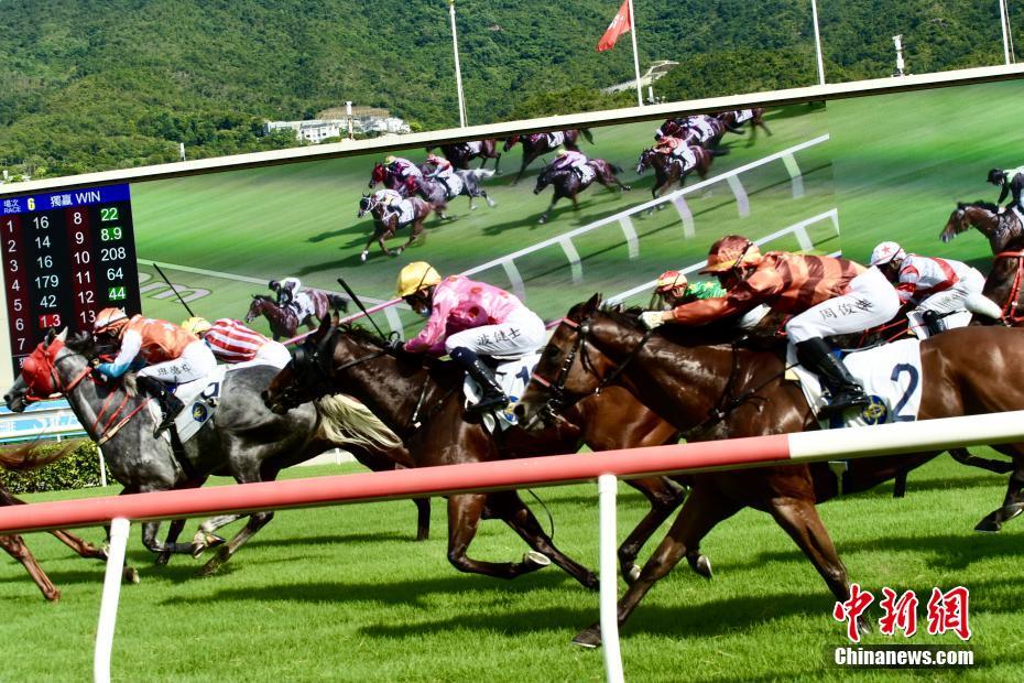 香港虚假彩票犯罪问题探讨，警惕今晚开什么特马的骗局