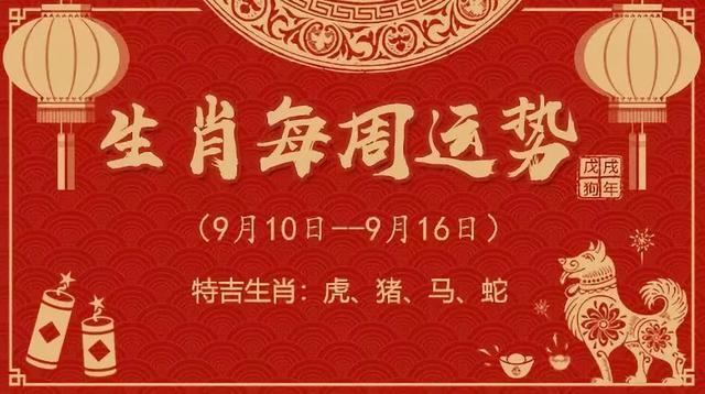 香港生肖彩票背后的文化逻辑与魅力探索，今晚必开一肖揭秘！