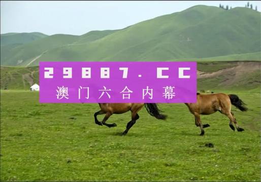 揭秘新版跑狗游戏77777与88888的魅力，探索未知领域之旅