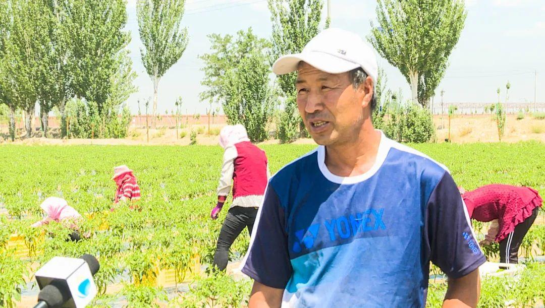 免费资料海洋中的日常探寻之旅