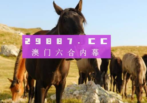 揭秘神秘数字组合背后的故事，管家婆一肖码的秘密 77777与88888的解读