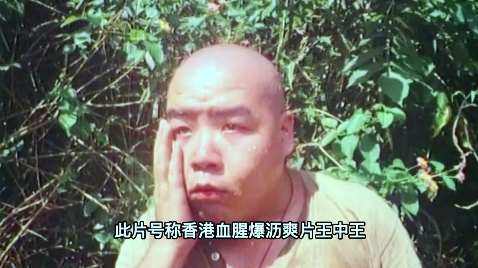 揭秘香港王中王彩票开奖背后的神秘面纱，一肖中特结果揭晓